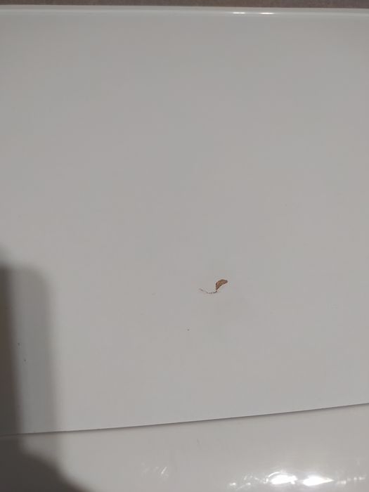 Пральні   машини