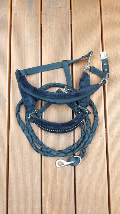 Kantar i uwiąz dla konia