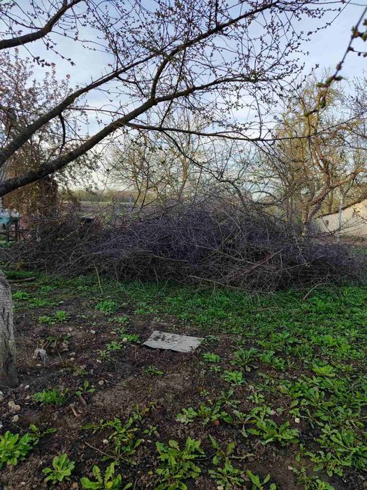 Оренда гілкоруба, подрібнення гілок, послуги гілкоруба,.