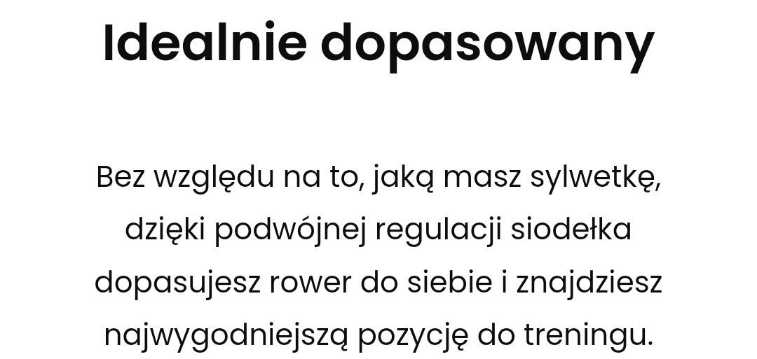 Rowerek Elektromagnetyczny Zipro