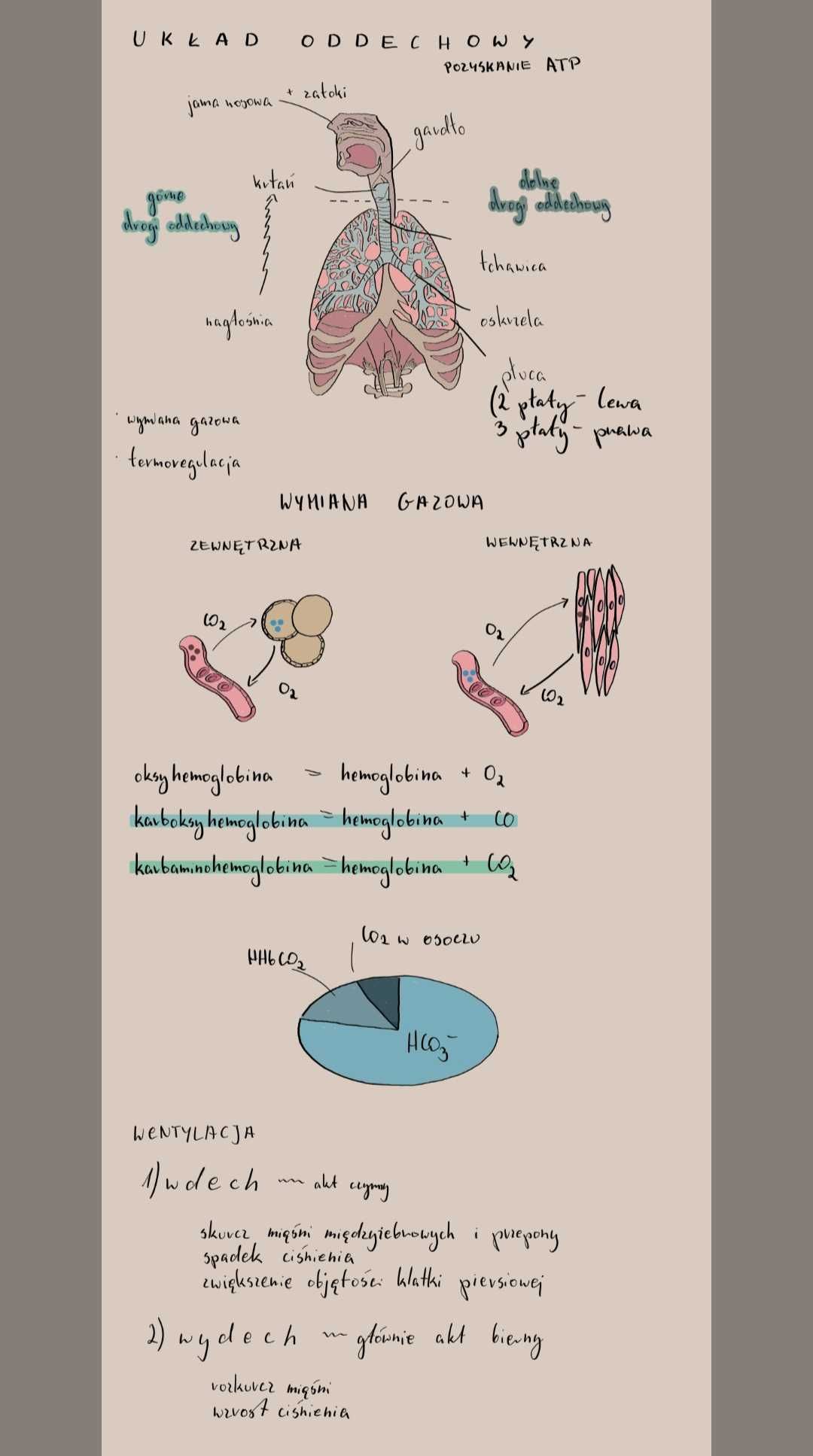 Notatki maturalne biologia rozszerzona pdf