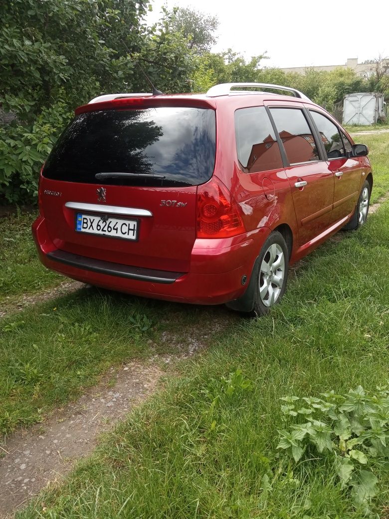 Пижик 307св 2006