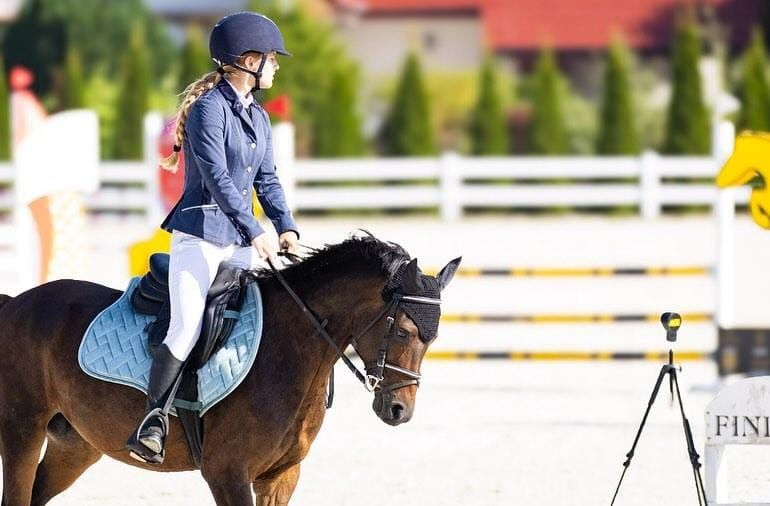 Sprzedam kuca klacz C grupa