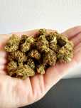 30 Gram Suszu White Widow CBD Jakość Premium