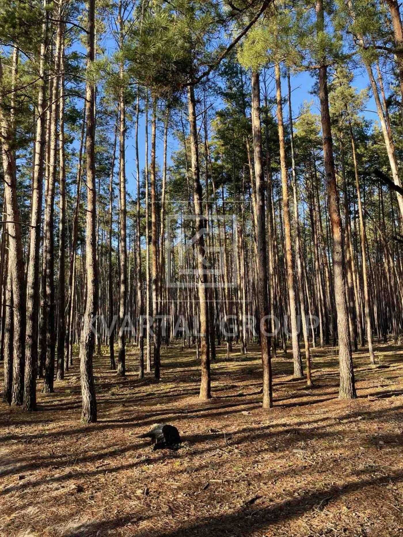 Комфорт та природа: Будинок 100 м² з усією технікою, 25 хв від Києва!