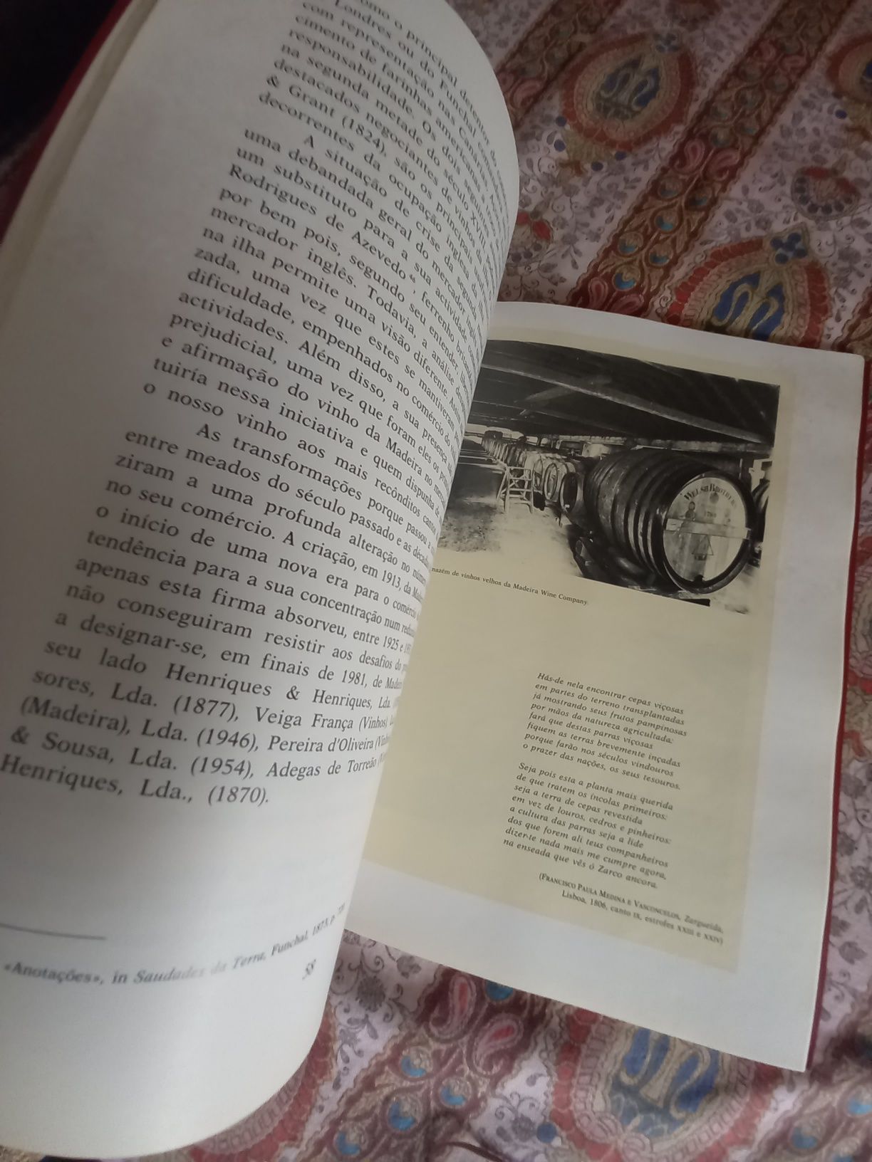 Breviário do Vinho e da Vinha na Madeira livro álbum