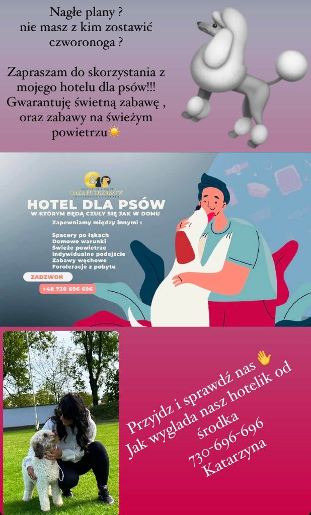 HOTEL dla Twoich Psiaków