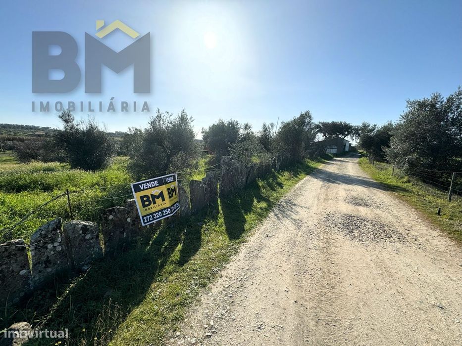 Terreno Rústico  Venda em Toulões,Idanha-a-Nova