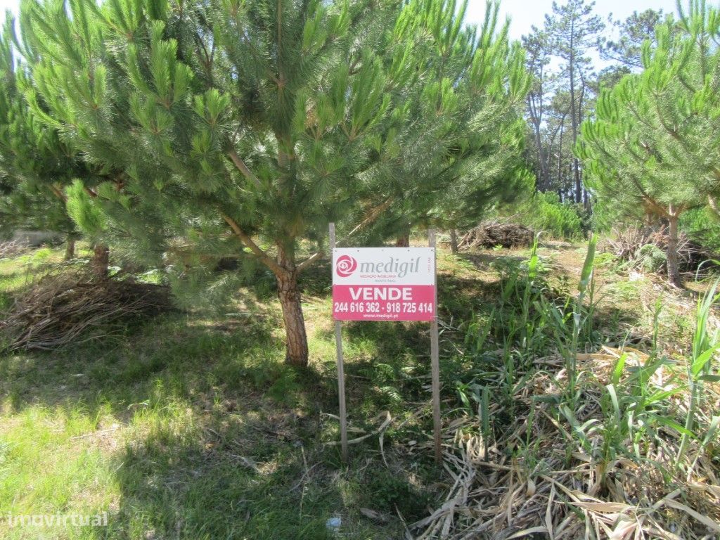 Terreno no Outeiro da Fonte