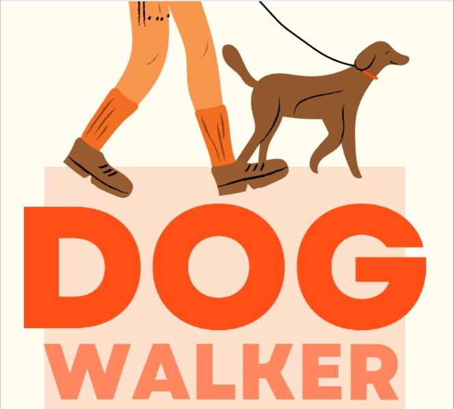 Dog walker em Funchal