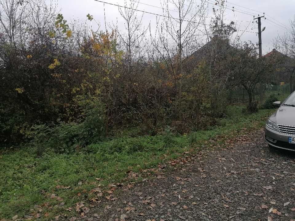 Домоволодіння та земельна ділянка