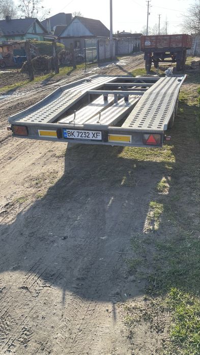 NIEWIADOW 2019р 5 м в хорошому стані