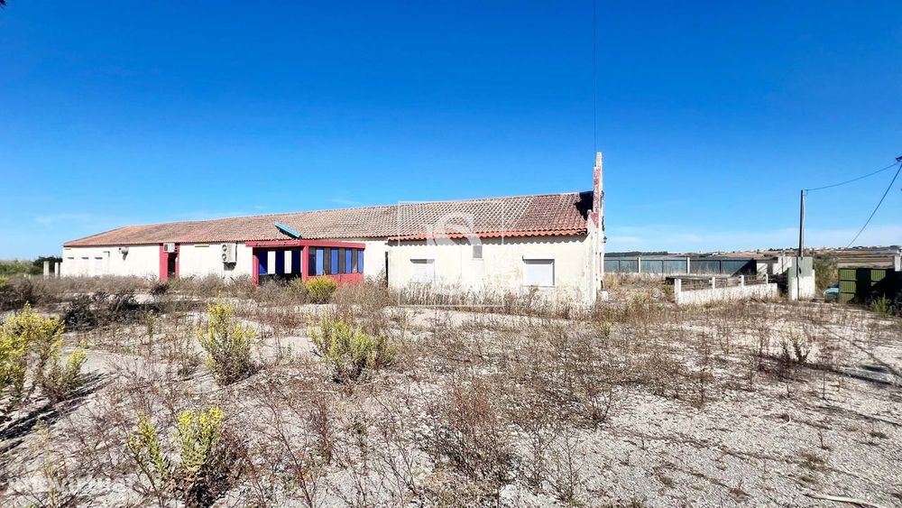 Antiga Danceteria, com uma área total de 4.400 m² - Lourinhã