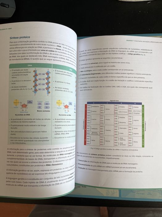 Livro Preparação para Exame Biologia e Geologia 2024, muito bom estado