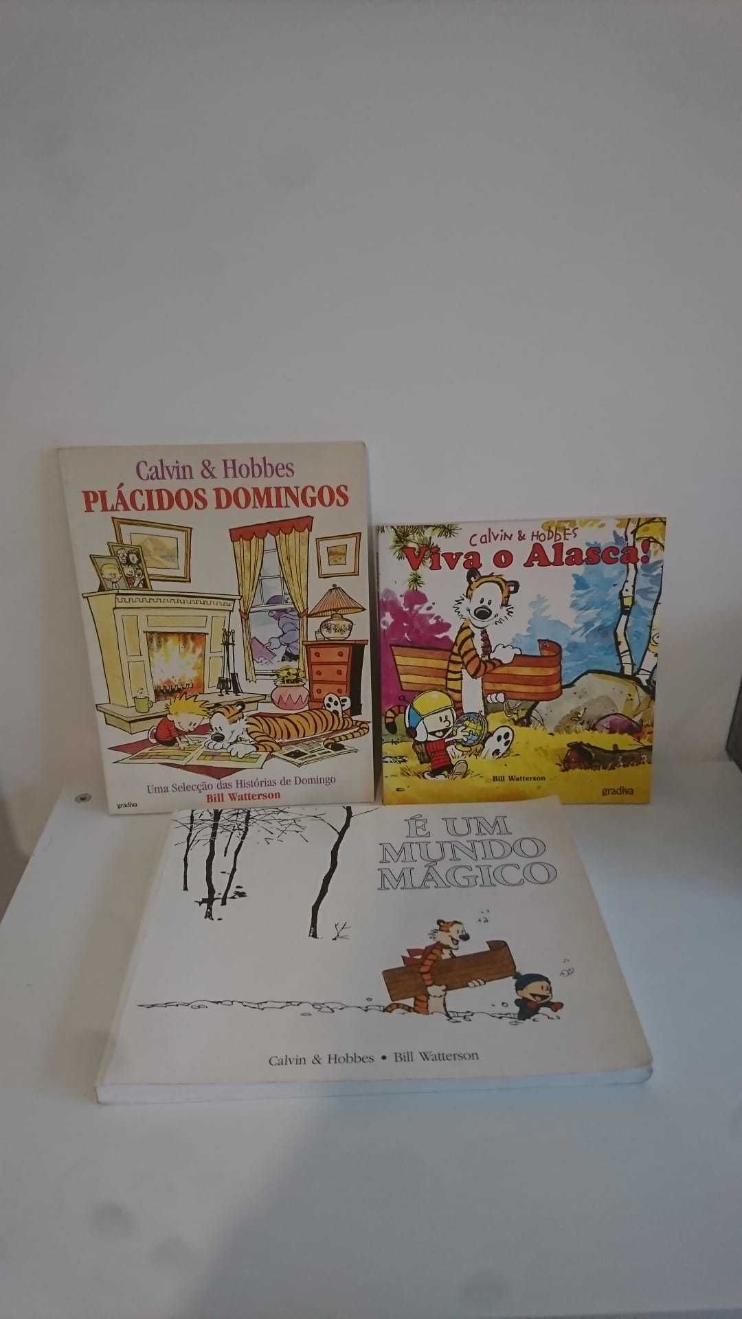 Conjunto de 3 Livros Calvin & Hobbes - Edições dos anos 90