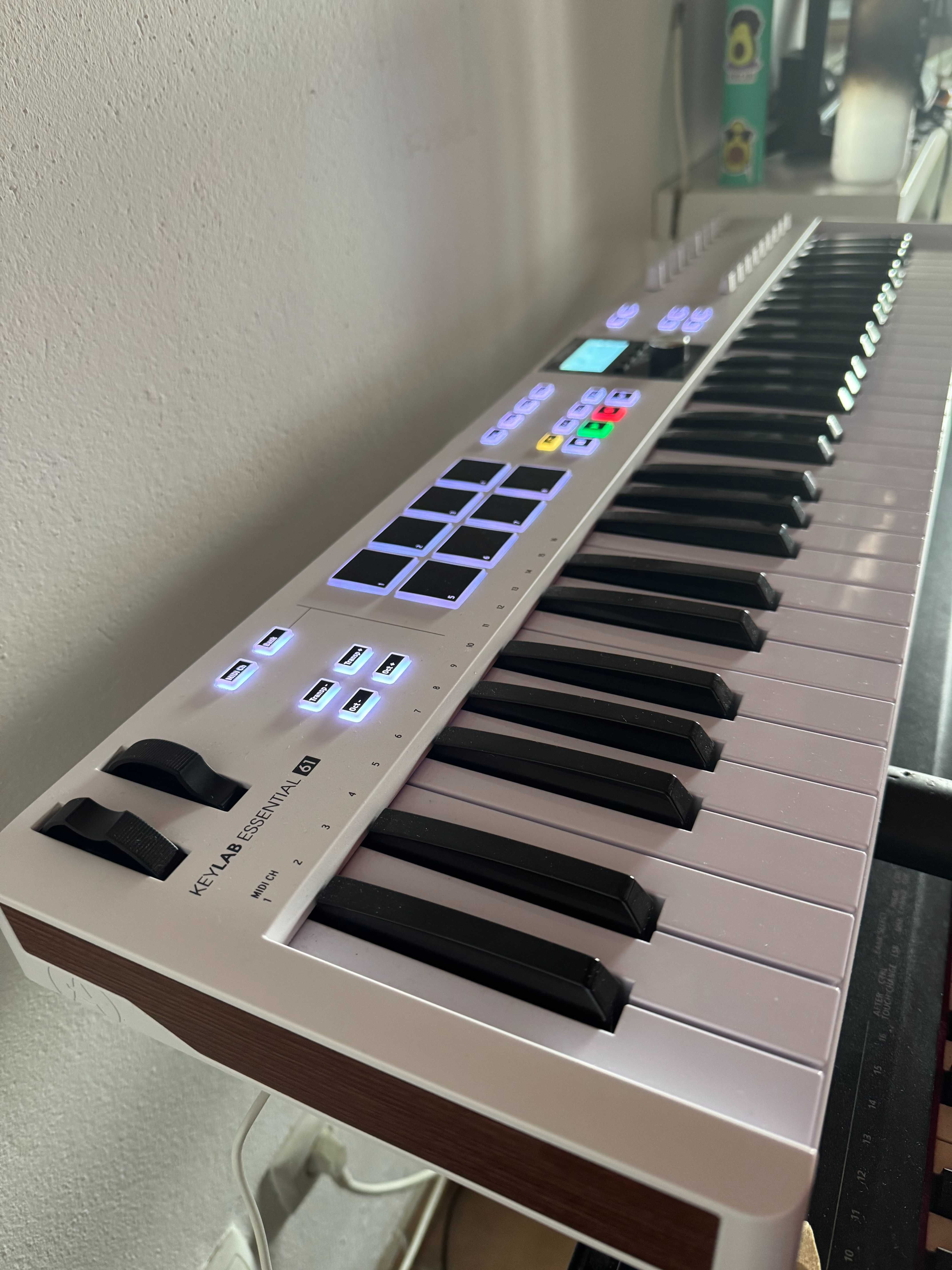 Arturia KeyLab Essential  + Studiologic SL88 Studio