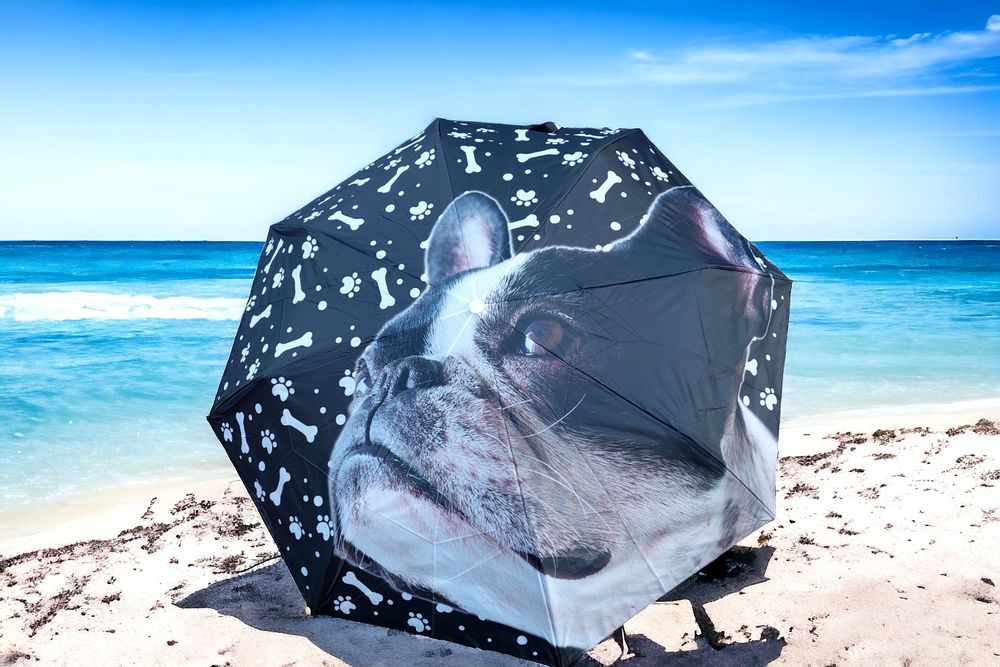 Parasolki ręczne wzór pieski i kotki