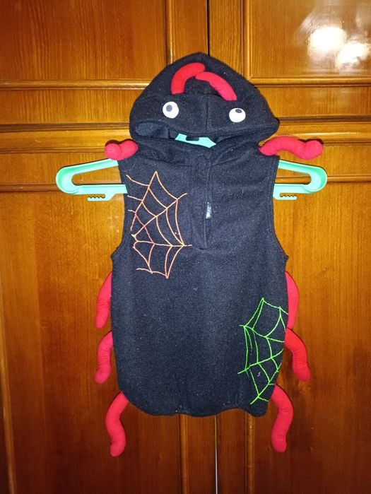 Карнавальні костюми на прокат