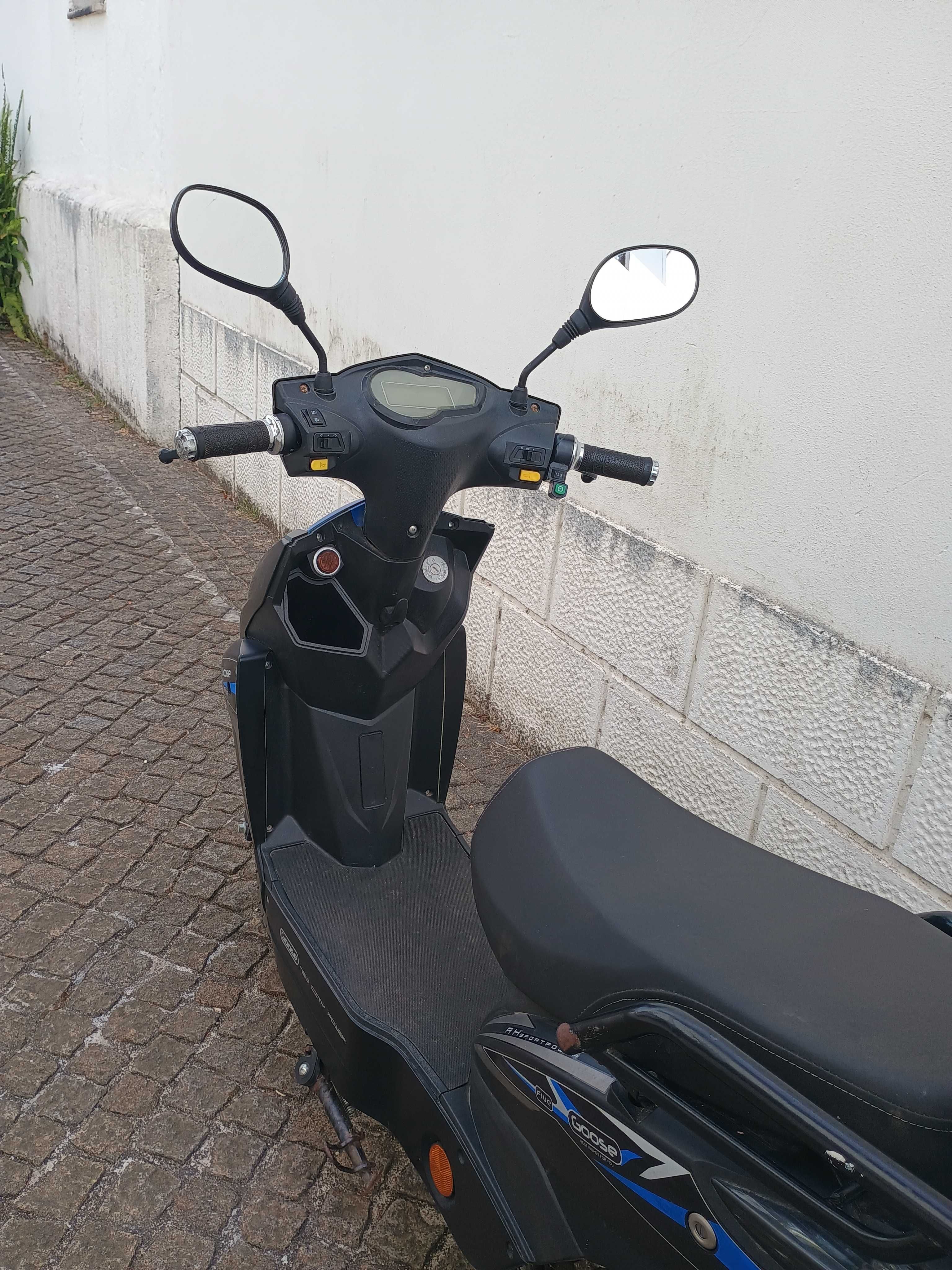 Scooter Vortex Goose