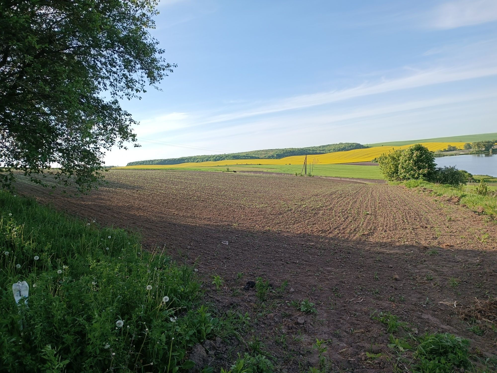 Продам земельну ділянку під Будівниство. Село Радів.  28 км від Рівног