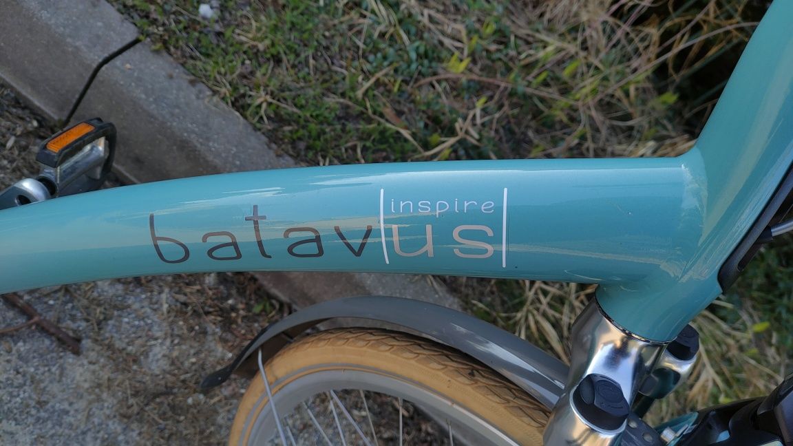 Batavus Mambo Inspire Like gazelle koga