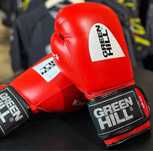 Боксерские перчатки Green Hill knock с печатью ФБУ