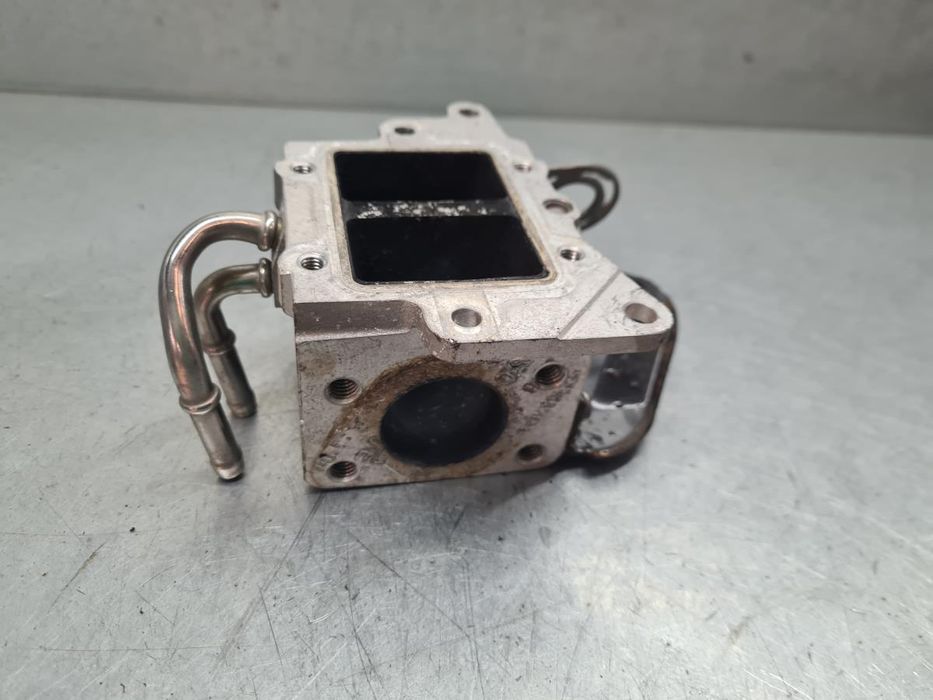 Válvula EGR VOLKSWAGEN Passat (3C2)