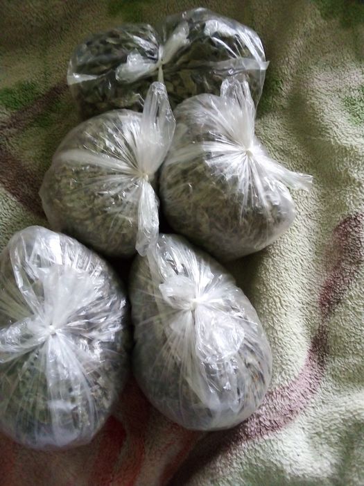 Suszone liście mięty (idealne na herbatę)