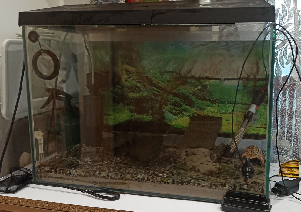 Akwarium 72l z osprzętem