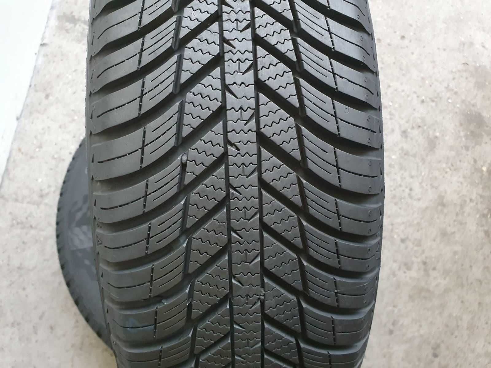 2x Nexen N'blue 4Season  195/60r15  7,5mm