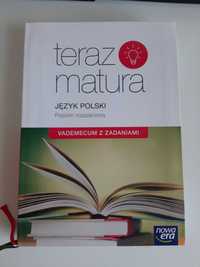 Vademecum "teraz matura - Język polski poziom rozszerzony"