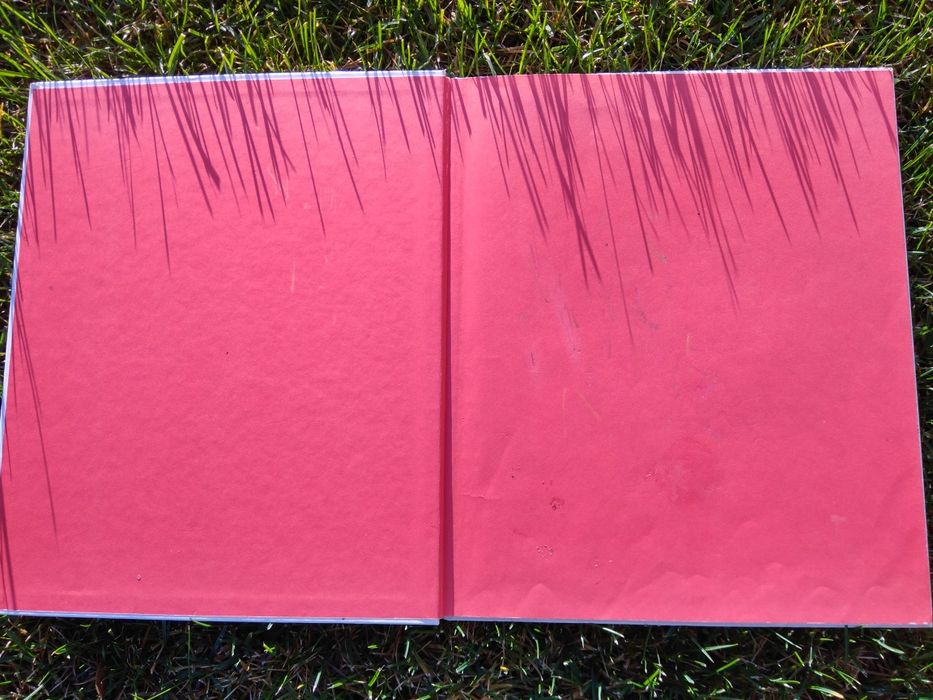 Livro Incrível de Atividades em Férias