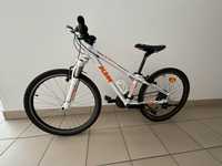 Rower KTM Wild Thing 24