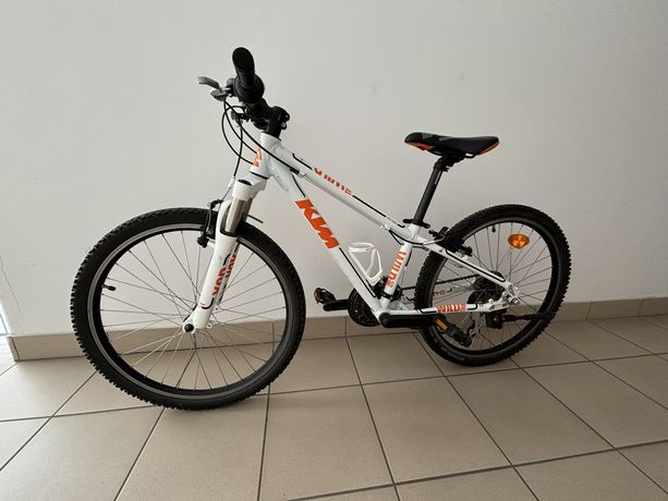 Rower KTM Wild Thing 24