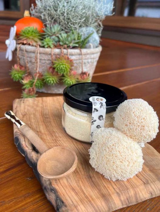 Soplówka jeżowata sproszkowana - puder grzybowy