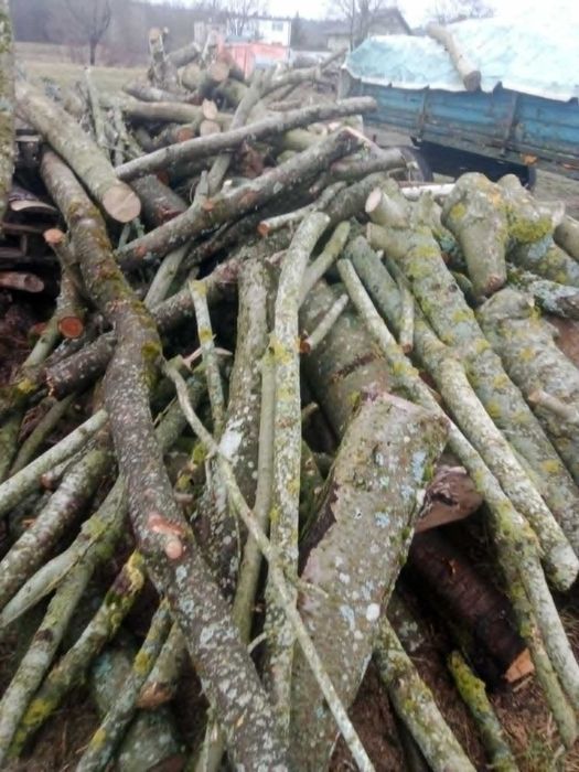 Sprzedam drewno opałowe