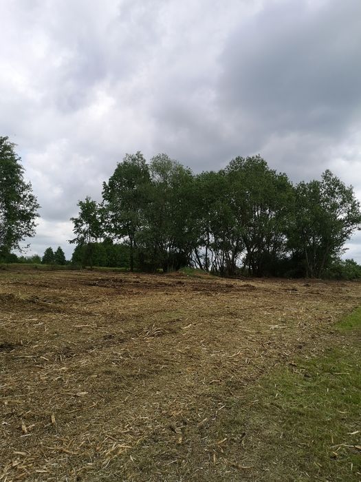 Czyszczenie dzialek mulczer leśny frezowanie pni likwidacja zakrzaczen