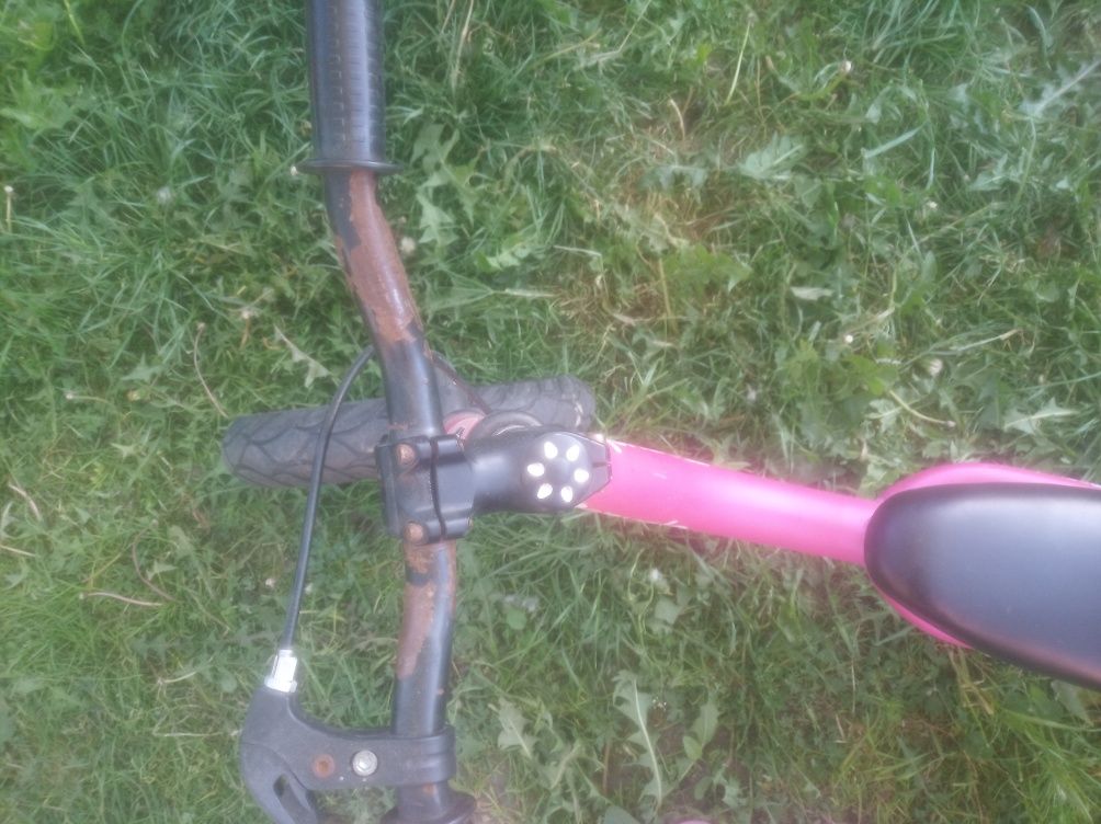 Rowerek biegowy różowy Lonevo