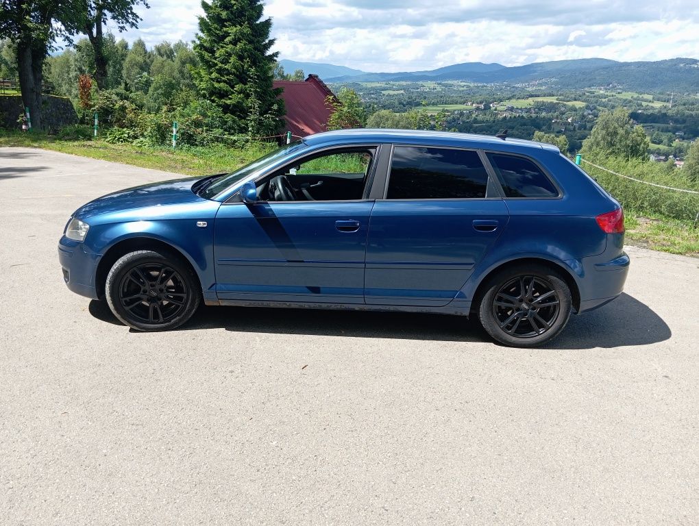 Audi A3 8p 2.0Tdi