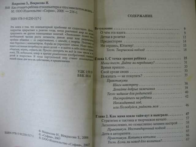 Как оттащить ребенка от компьютера? и что с ним потом делать Некрасовы