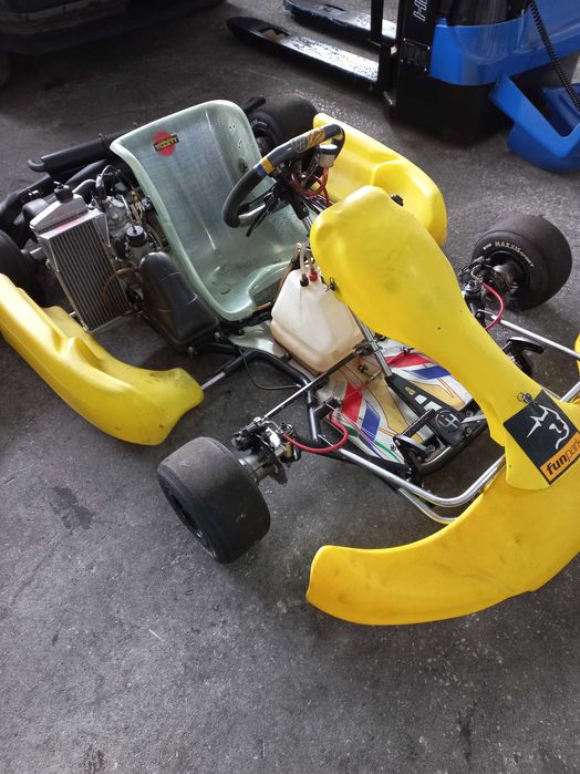 Kart LH (Lewis Hamilton) com motor Rotax Junior 125cc