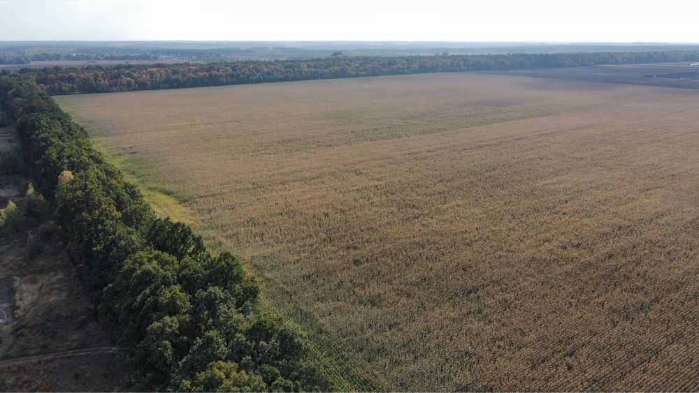 Продажа 50ГА ОСГ Калиновка без %