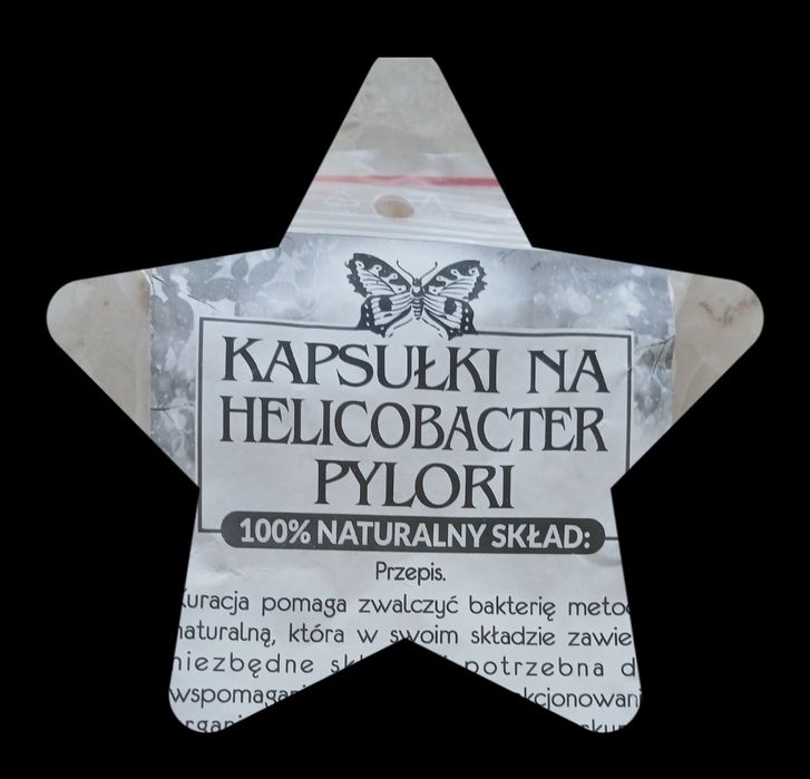 helicobacter pylori