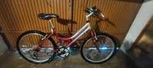 Bicicleta Monty usada