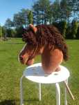 Hobby horse z kijem