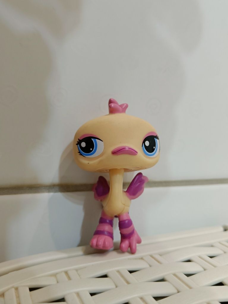 Littlest pet shop struś