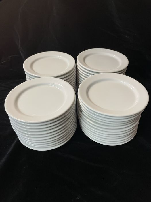 Lote 48 pratos refeicao 24 cm
