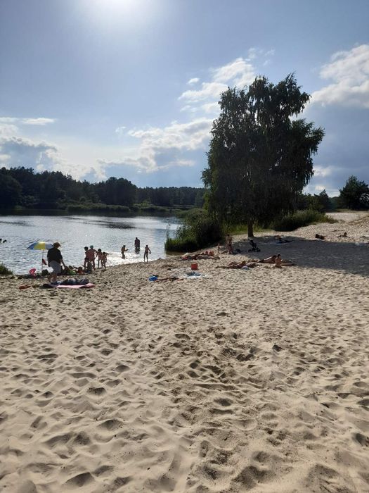 Продам дачу в Ровжах