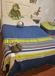 Cama/colchão/ secretaria/ mesa de cabeceira