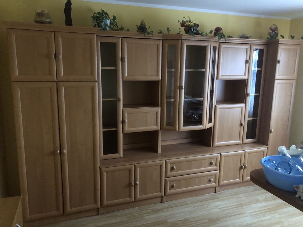 Mebloscianka pokojowa oferta wazna do soboty